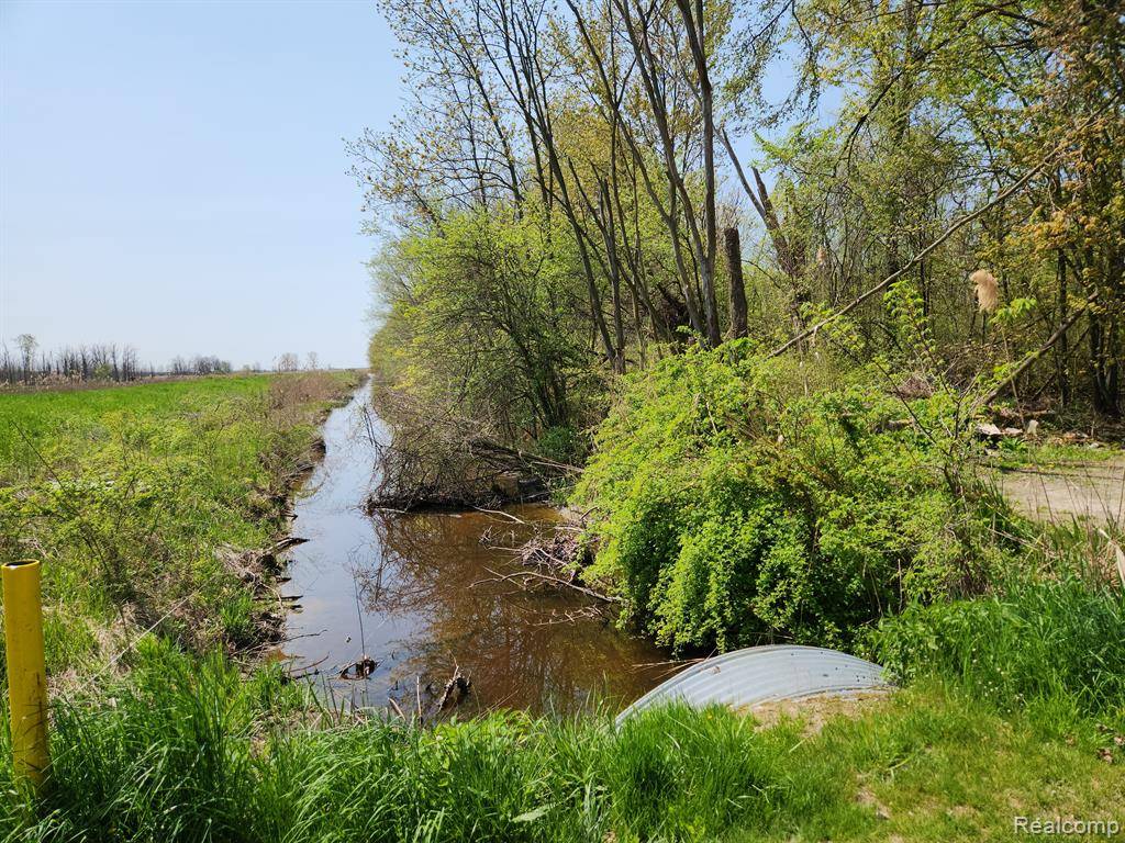 Ira Twp, MI 48023,004 Perch Road