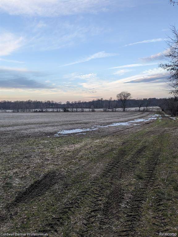 Attica Twp, MI 48412,0000 PEPPERMILL Road