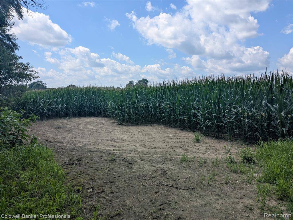 Attica Twp, MI 48412,0000 PEPPERMILL Road
