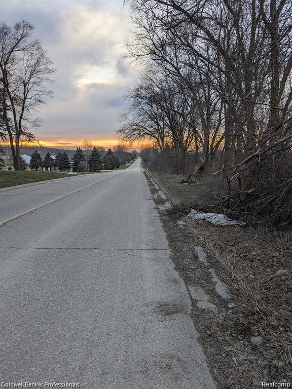 Attica Twp, MI 48412,0000 PEPPERMILL Road