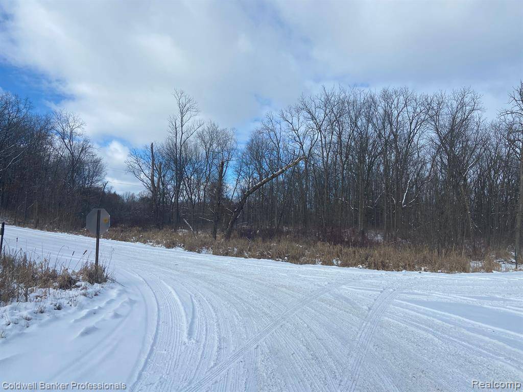 Hartland Twp, MI 48855,8899 DWYER Road