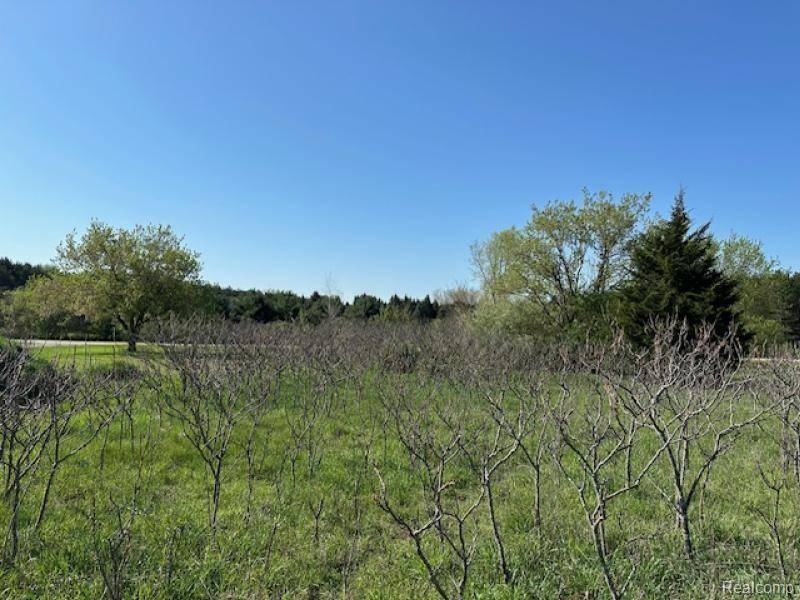 Fremont Twp, MI 48744,0 Parcel A Ambrose Rd