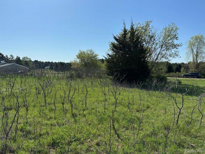 Fremont Twp, MI 48744,0 Parcel A Ambrose Rd