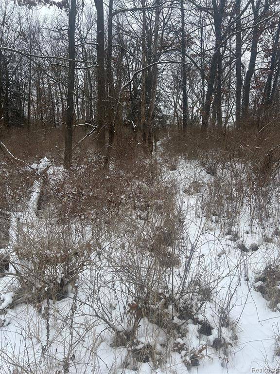 Brighton Twp, MI 48114,12840 LARKINS Road