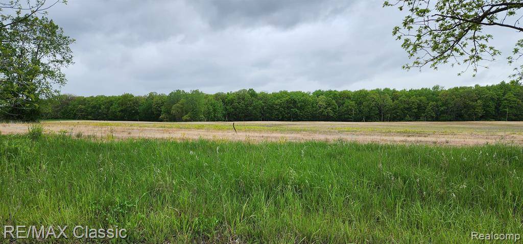 Bridgewater Twp, MI 49236,8520 ARKONA Road
