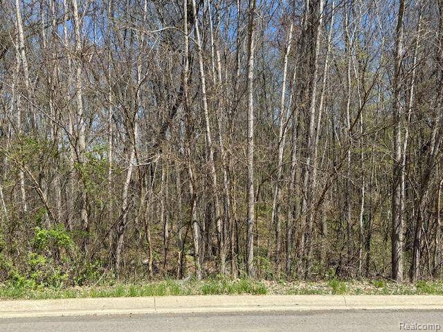 Springfield Twp, MI 48350,11978 Scenic Valley
