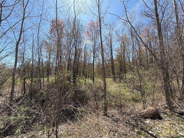 Springfield Twp, MI 48350,11999 Scenic Valley