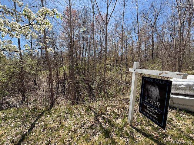 Springfield Twp, MI 48350,11999 Scenic Valley