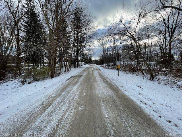 Green Oak Twp, MI 48116,0000 Dibrova Drive