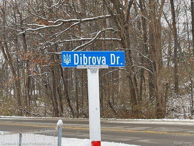 Green Oak Twp, MI 48116,0000 Dibrova Drive