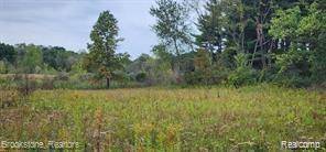 Rose Twp, MI 48442,VL-B Demode  Road