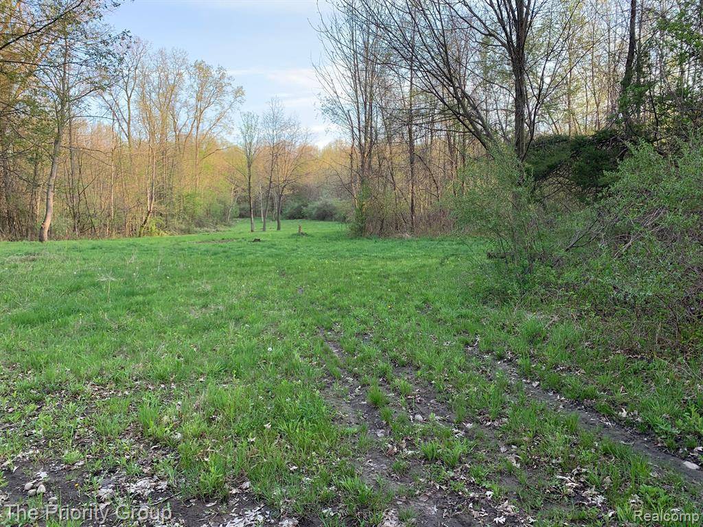 Independence Twp, MI 48348,000 E Shappie  Road