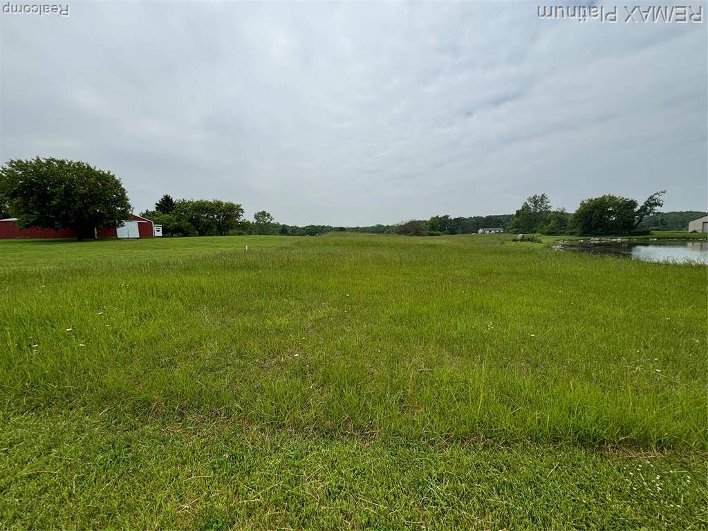 Tyrone Twp, MI 48430,V/L PARSHALLVILLE ROAD