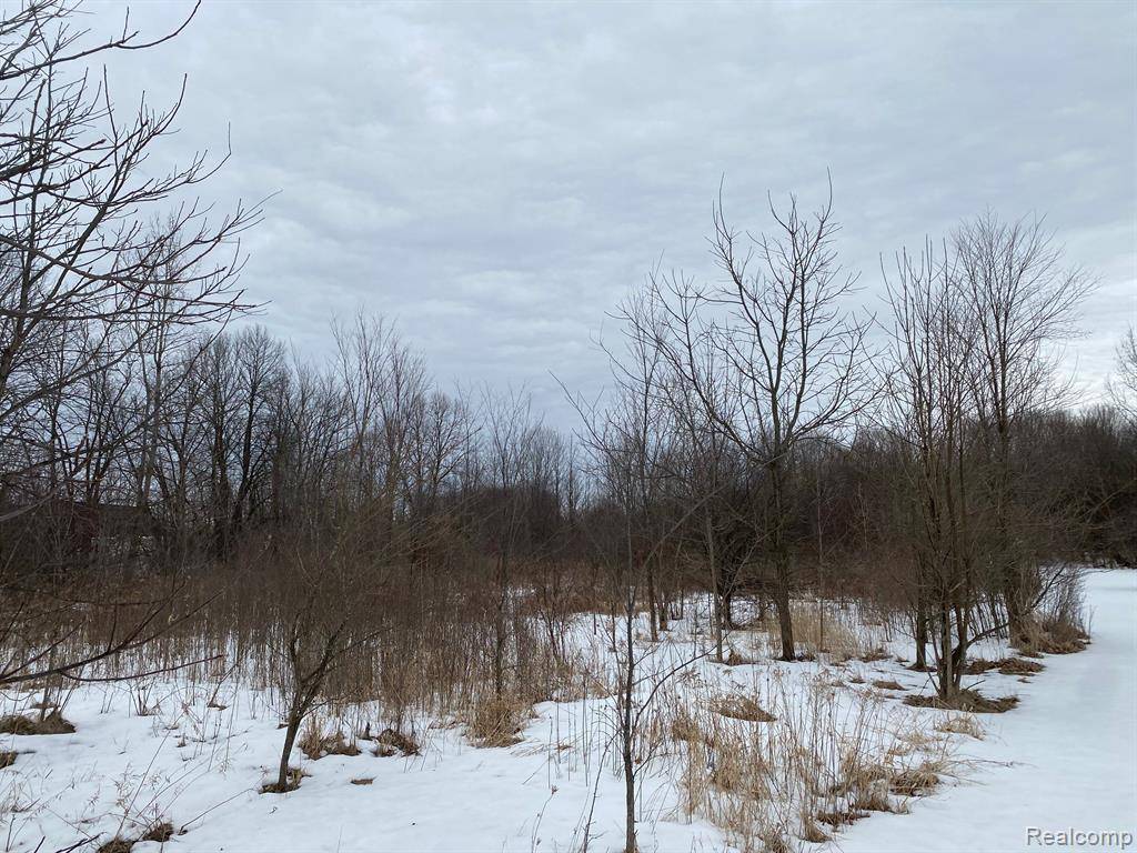 Davison Twp, MI 48423,10.6 Acres Faulkner Dr Faulkner Drive