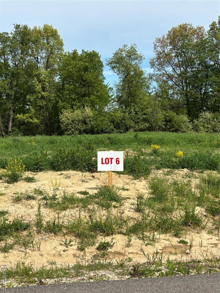 Metamora Vlg, MI 48455,4060 Metamora Ridge