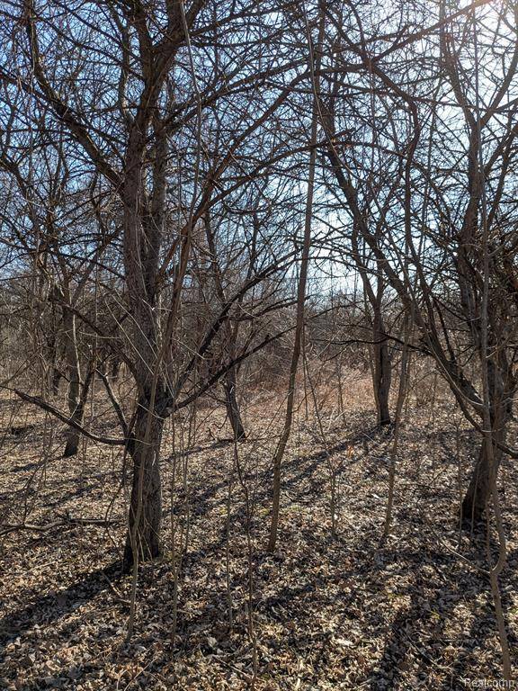 Elba Twp, MI 48446,00 Oregon Road