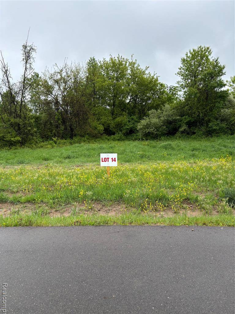 Metamora Vlg, MI 48455,4045 Metamora Ridge