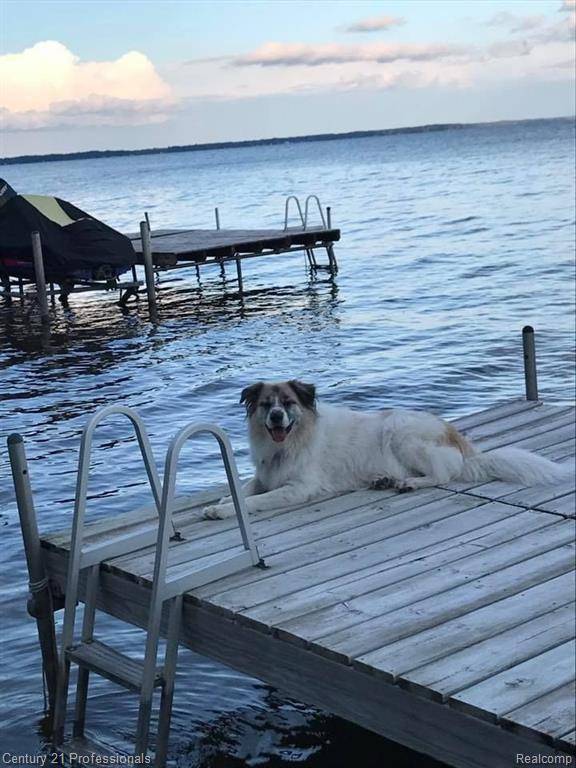 Lake Twp, MI 48629,617 LONG POINT Drive
