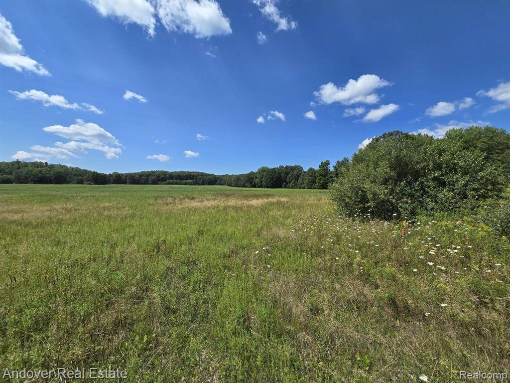 Brown Twp, MI 49619,000C Leckrone Road