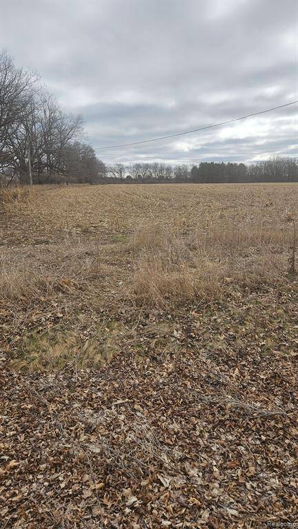 Hartland Twp, MI 48430,parcel F parshallville