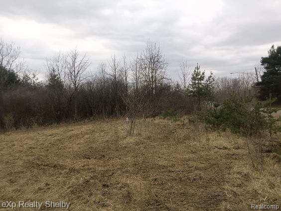 Mt. Morris Twp, MI 48505,1491 LOUIS Avenue
