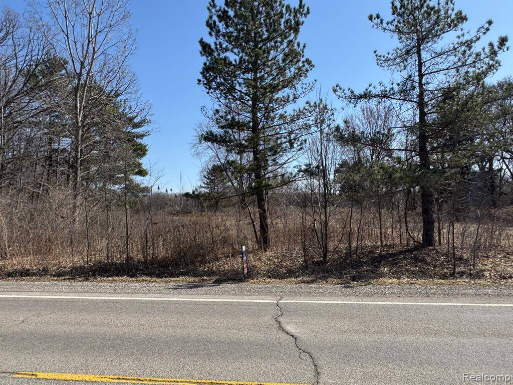 Gaines Twp, MI 48429,12407 LANSING Road