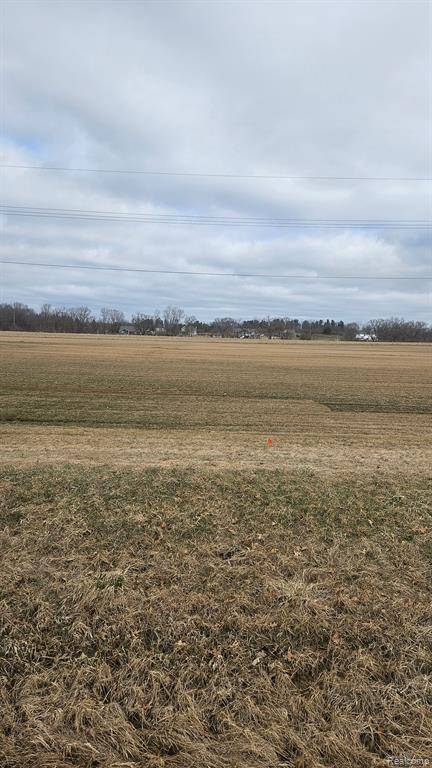 Hartland Twp, MI 48430,Parcel B Clyde rd