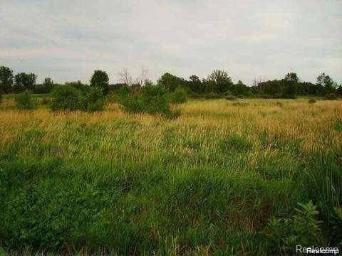 Oxford Twp, MI 48371,00000 N Baldwin  Road