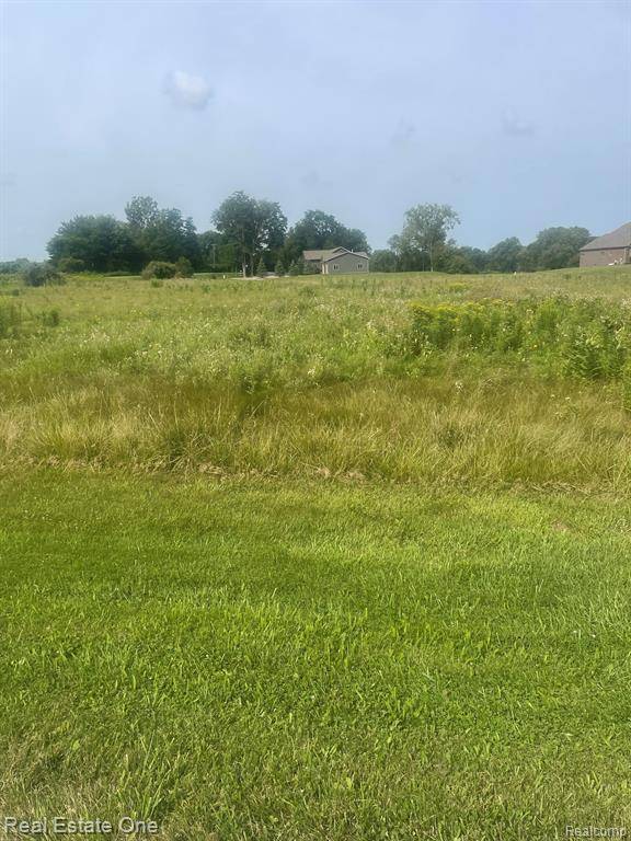 Almont Twp, MI 48003,Parcel 2 Deerfield Meadows