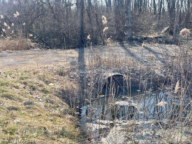 Southgate, MI 48174,VACANAT WAHRMAN