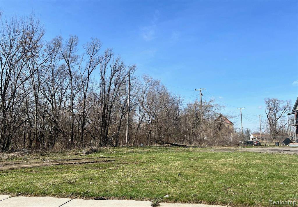 Detroit, MI 48210,5131 BANGOR Street