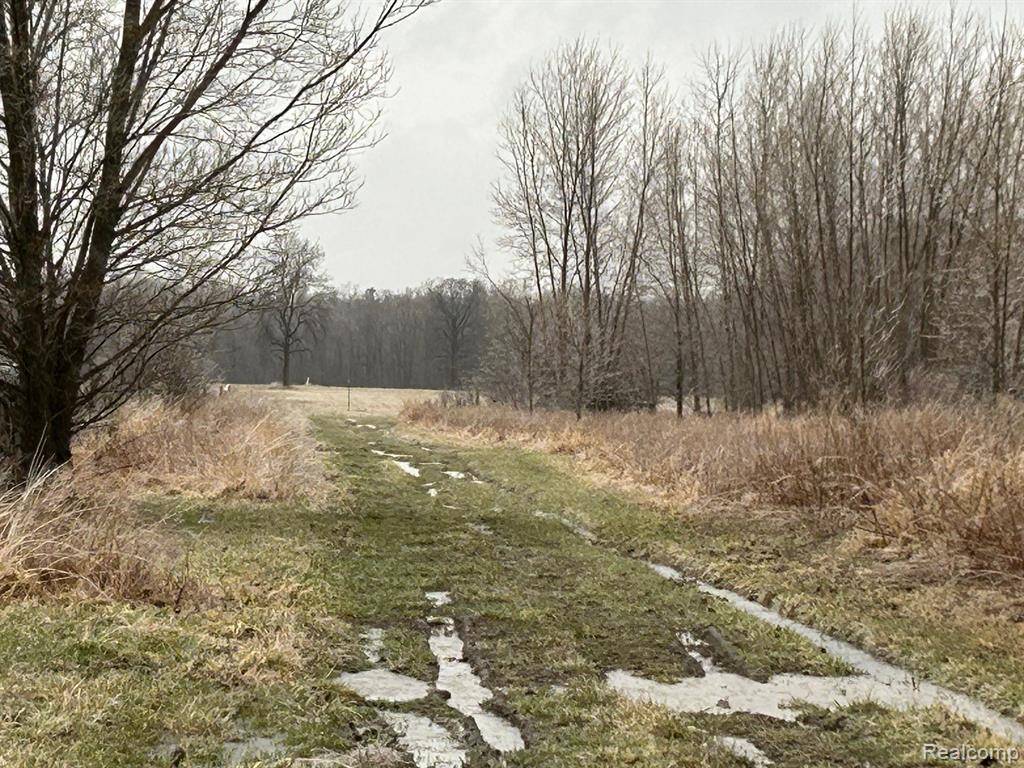 Deerfield Twp, MI 48435,0 W Burnside Road