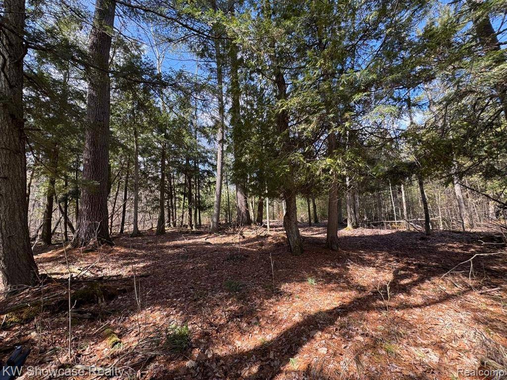 Roscommon Twp, MI 48629,4233 Hardacre Trail