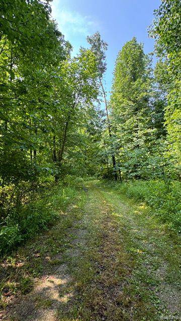 Attica Twp, MI 48412,0000 VIK-MAR Lane