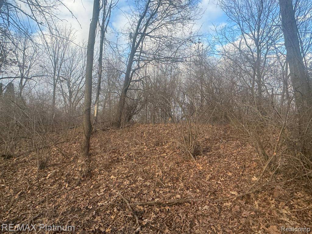 Unadilla Twp, MI 48137,000  DAYMON Road