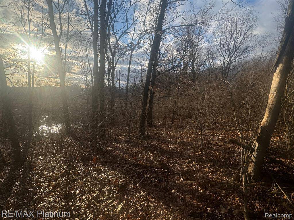 Unadilla Twp, MI 48137,000  DAYMON Road