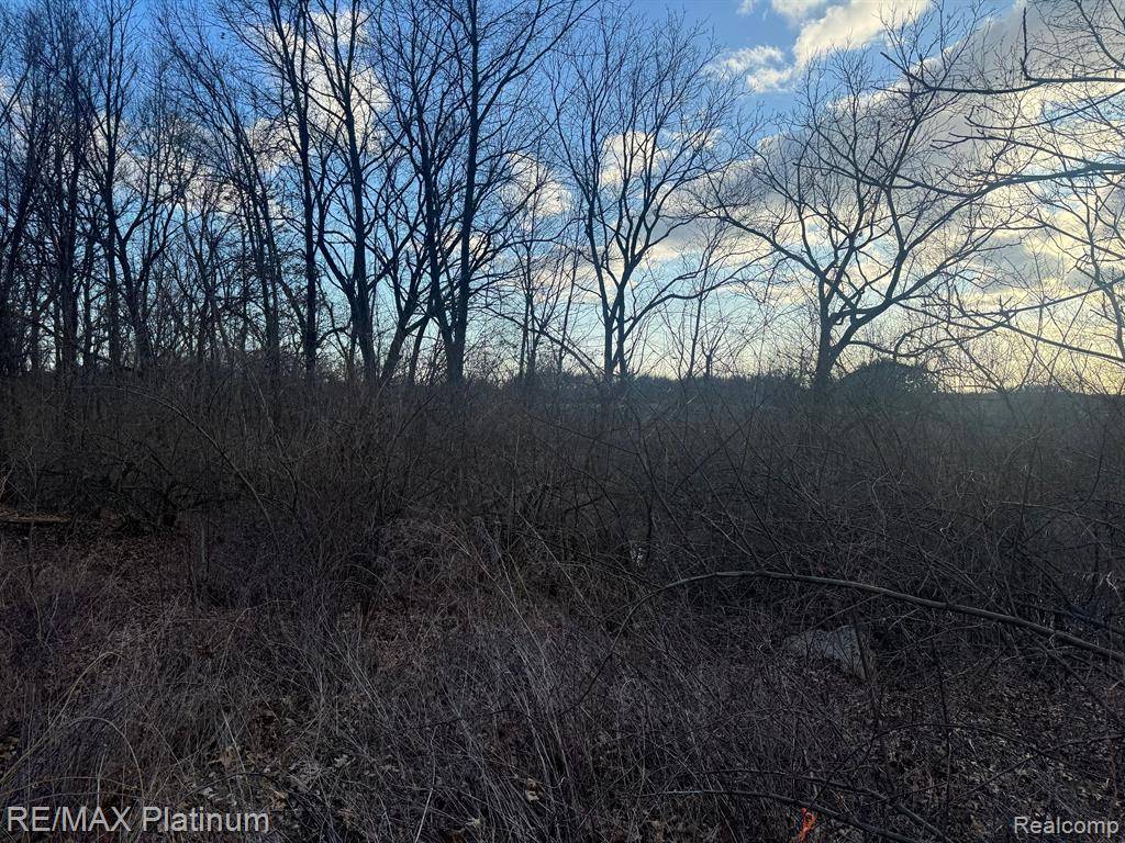 Unadilla Twp, MI 48137,000 DAYMON Road