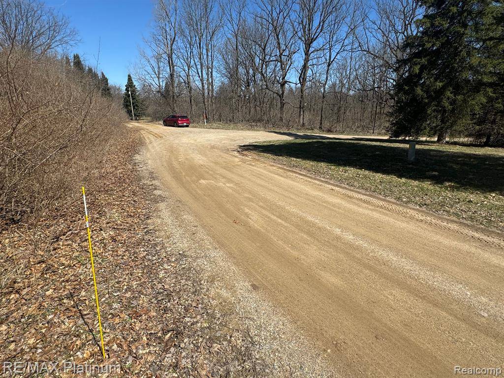 Unadilla Twp, MI 48137,000 DAYMON Road
