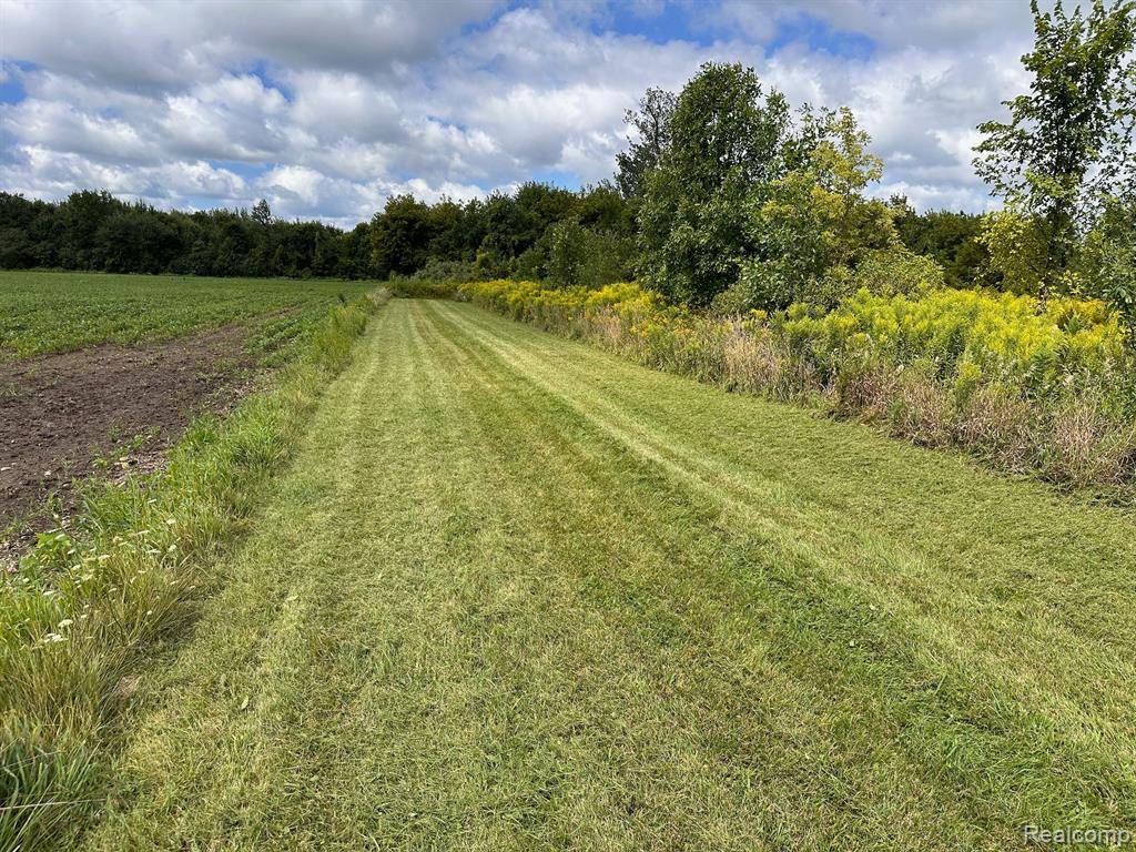 Arbela Twp, MI 48746,8833 BREWER Road