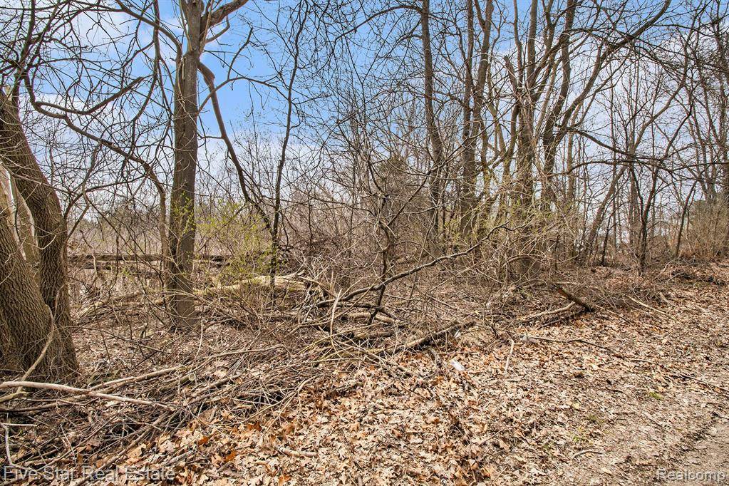 Commerce Twp, MI 48382,0000 Dickert Street