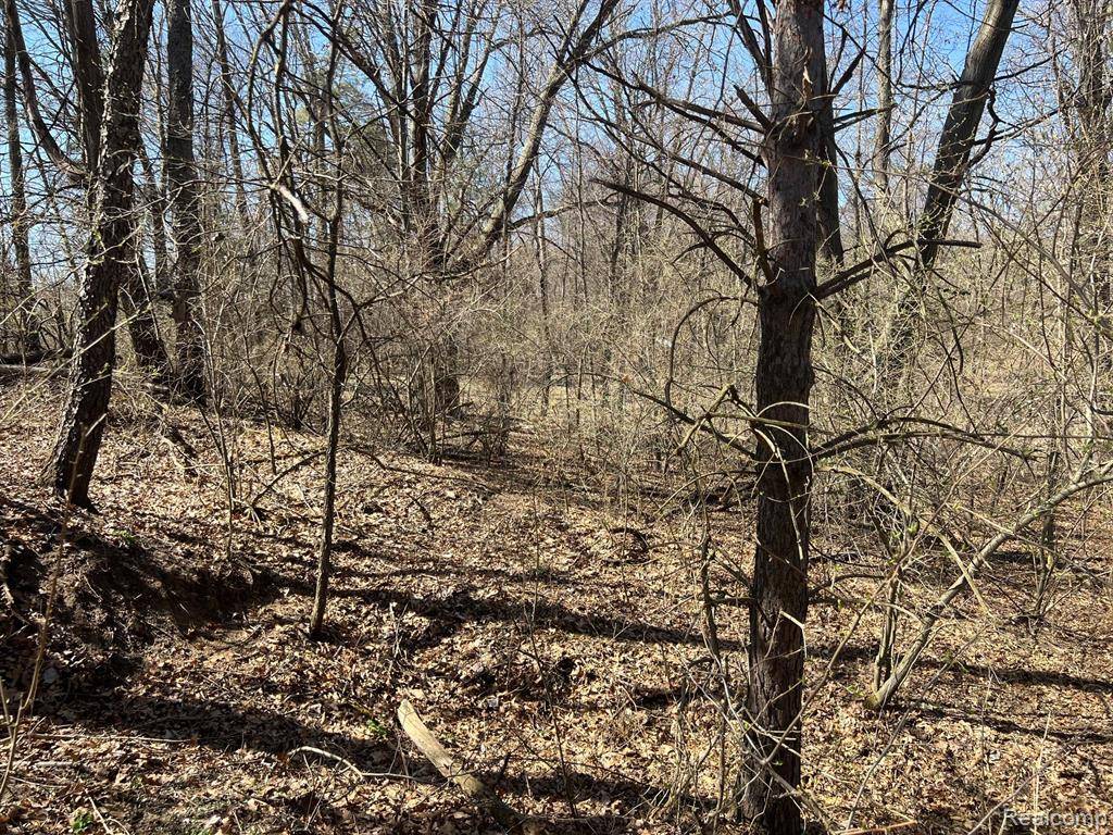 Elba Twp, MI 48455,VL 1.98 Ac LAKE LAPEER Drive
