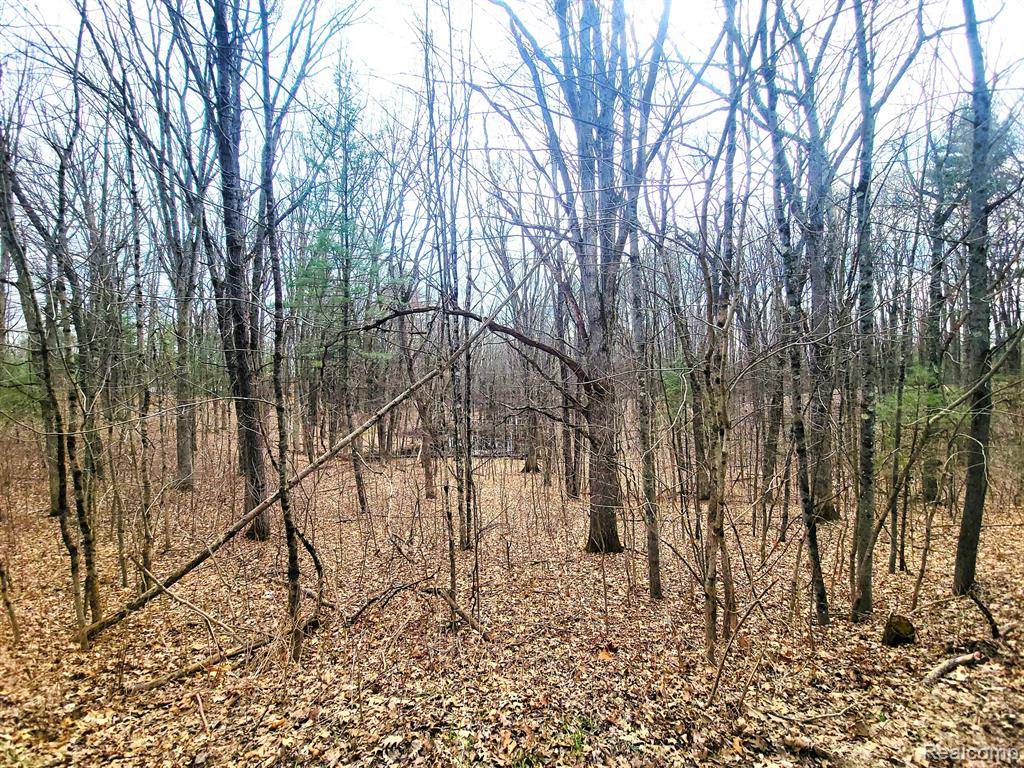 Elk Twp, MI 49644,00000 W Estes Drive