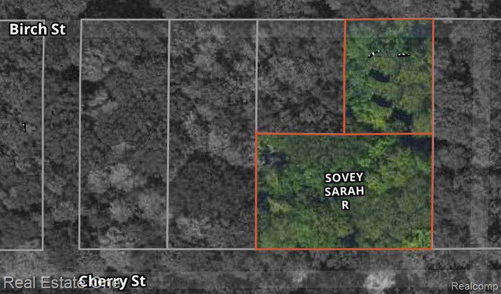 Ludington, MI 49431,VL Hamlin Lake Estates Block 12 Lot 21-24