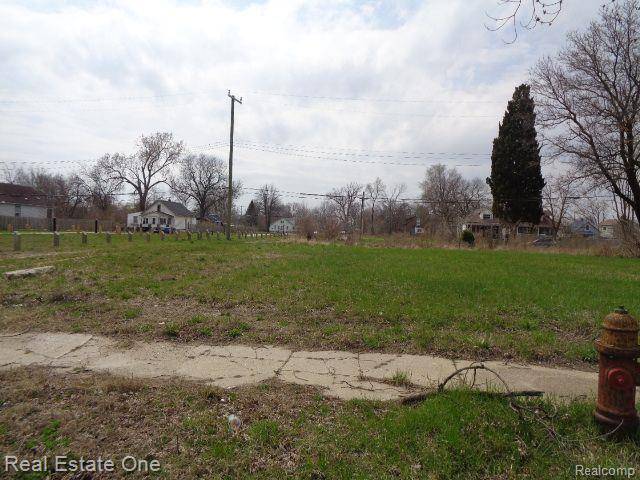 Hamtramck, MI 48212,12501 MAINE Street