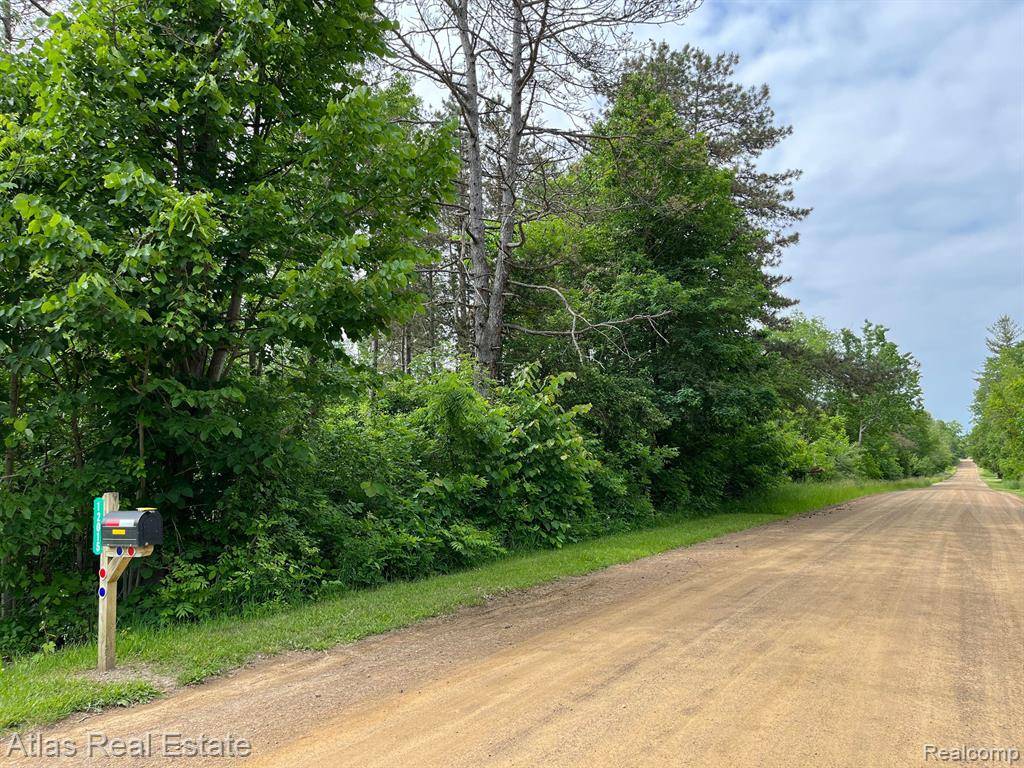 Forest Twp, MI 48463,12017 N OAK Road