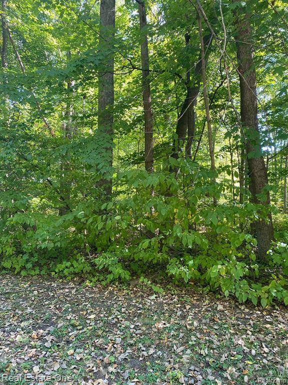 Genesee Twp, MI 48433,619 S Morrish Road
