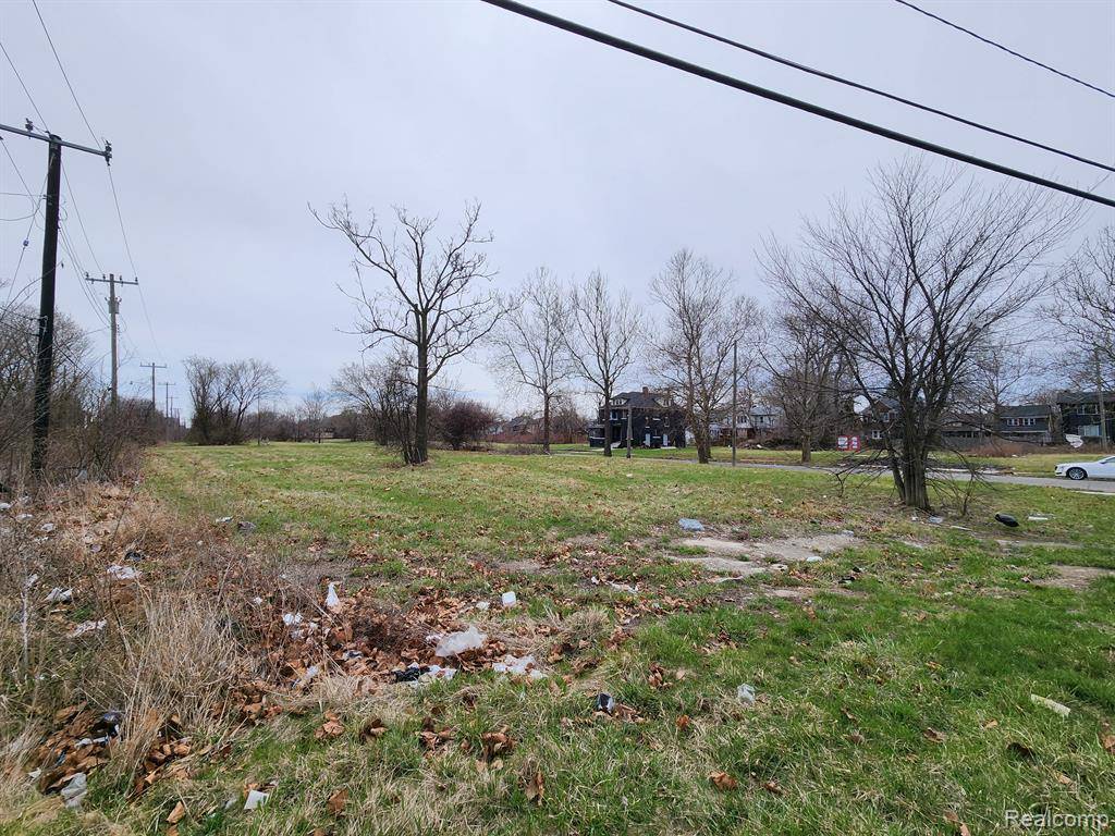 Detroit, MI 48215,966 KITCHENER Street