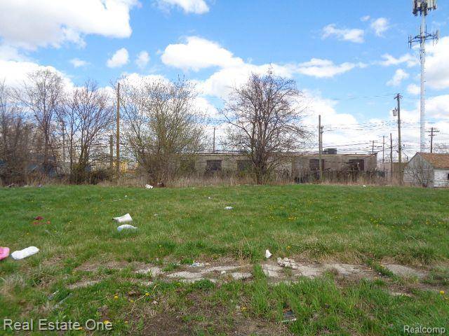 Detroit, MI 48212,11670 SAINT LOUIS Street