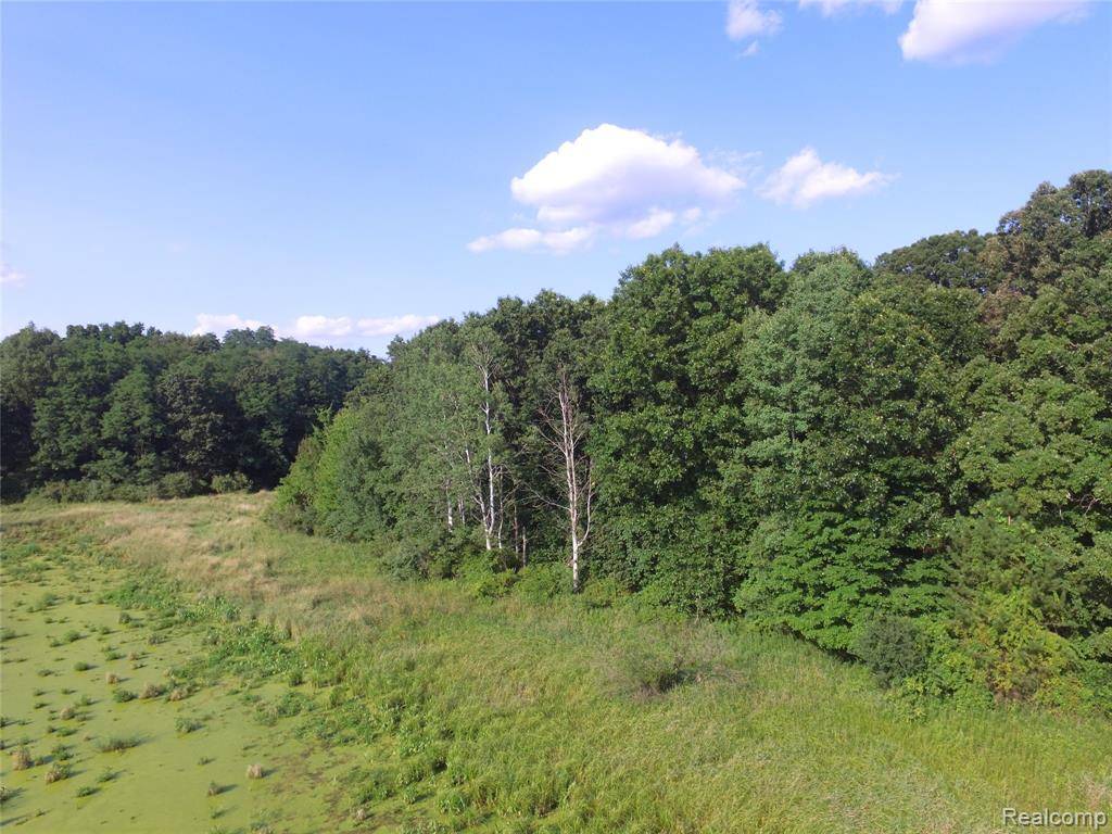 Unadilla Twp, MI 48169,15640 GRAVES Road