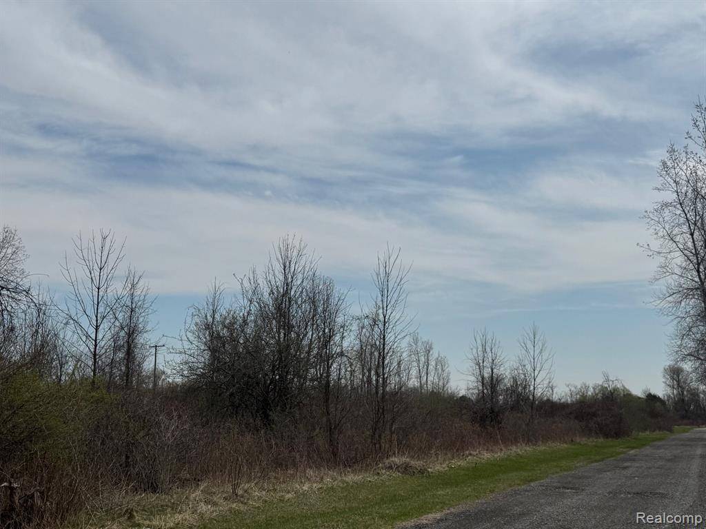 Clyde Twp, MI 48049,00 Metcalf Road